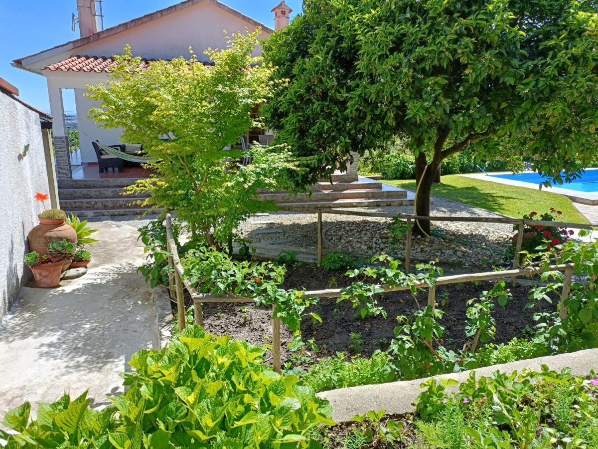 Corticada  Casa Da Gardunha 빌라 외부 사진